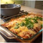 Chicken Enchilada Recipe: The Ultimate Guide to Perfect Enchiladas 5 freshly baked chicken enchilada recipe with melted cheese and cilantro